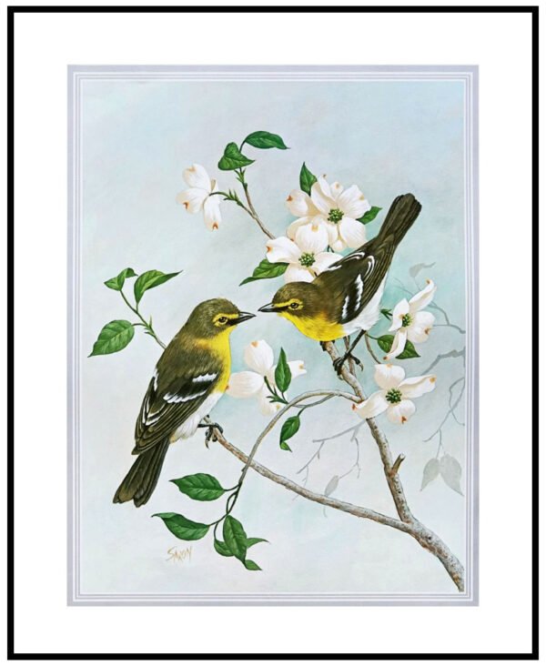 AK VH8300 Vireos & Dogwood